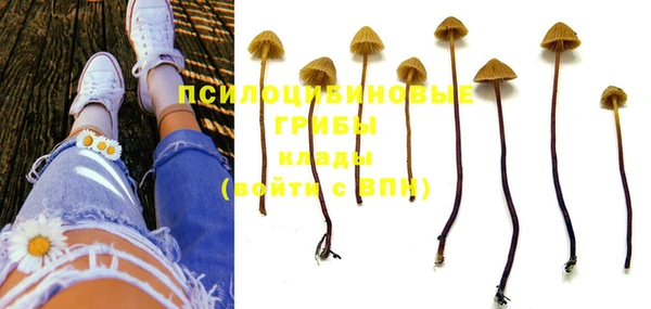 дурь Щигры