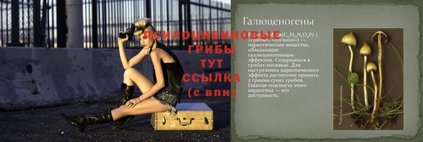 дурь Щигры