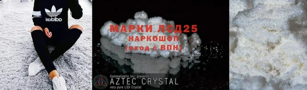 прущие грибы Дмитров