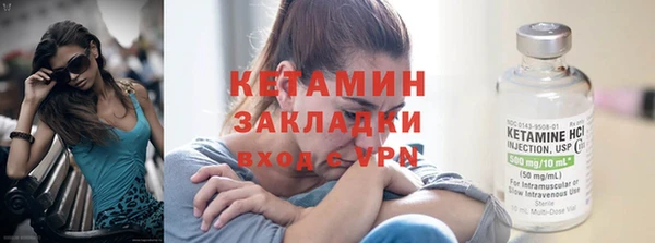 прущие грибы Дмитров