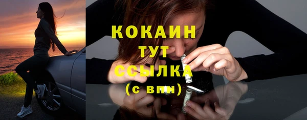 прущие грибы Дмитров