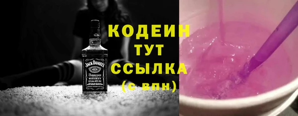 прущие грибы Дмитров