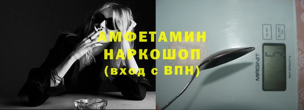 прущие грибы Дмитров