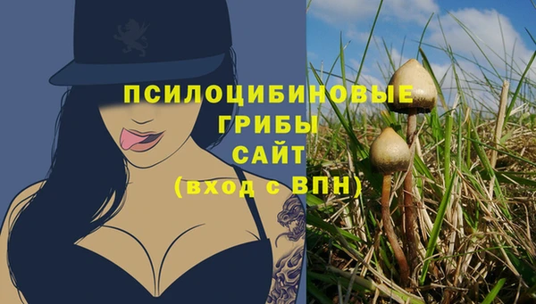 дживик Дмитриев