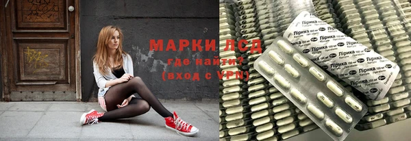 прущие грибы Дмитров
