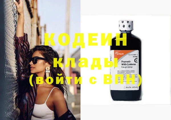 прущие грибы Дмитров
