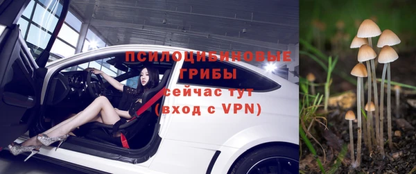 дживик Дмитриев